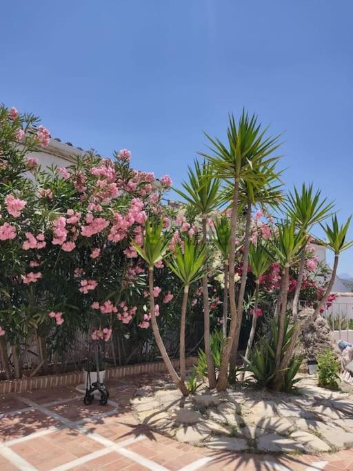 Vivienda Rural Las Bartolas Jaén Exteriör bild